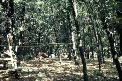 2012600_2012600-r1-e056.jpg