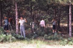 2012600_2012600-r1-e059.jpg