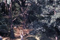 2012600_2012600-r2-e103.jpg
