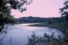 2012603_2012603-r1-e009.jpg