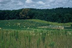 2012603_2012603-r1-e051.jpg