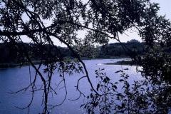 2012603_2012603-r1-e089.jpg