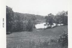 photo-0011.jpg