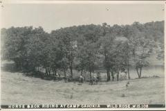 scan-9-.jpg
