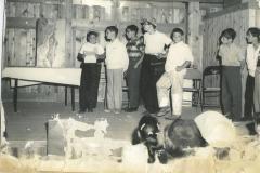 scan5.jpg