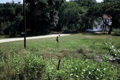 4012740_4012740-r1-e028