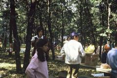 4012740_4012740-r1-e056