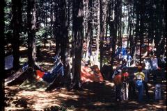 5012740_5012740-r1-e013