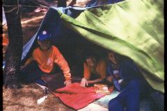 5012740_5012740-r1-e036