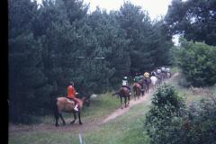 5012740_5012740-r1-e086