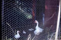 5012740_5012740-r1-e093