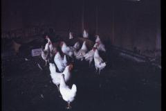 5012740_5012740-r1-e108