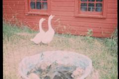 5012740_5012740-r1-e126