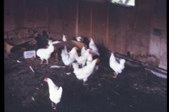 5012740_5012740-r1-e137