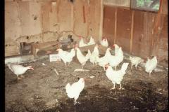 5012740_5012740-r1-e146