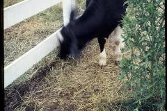 5012740_5012740-r1-e162