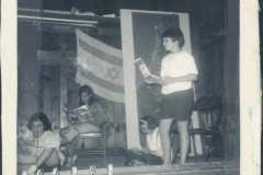 image-2010-11-01-1-0015