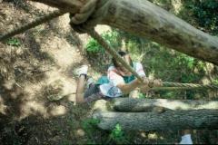 3012580_3012580-r2-e065